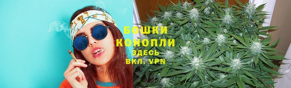 прущие грибы Киреевск