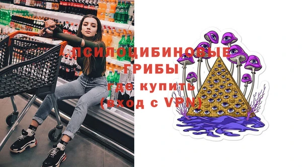 прущие грибы Киреевск