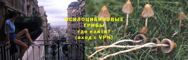 мдпв Козловка