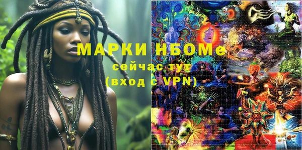 шишки Карпинск