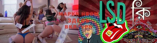 прущие грибы Киреевск