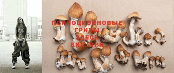 прущие грибы Киреевск