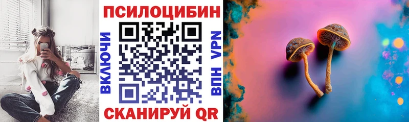 Псилоцибиновые грибы Cubensis Среднеколымск