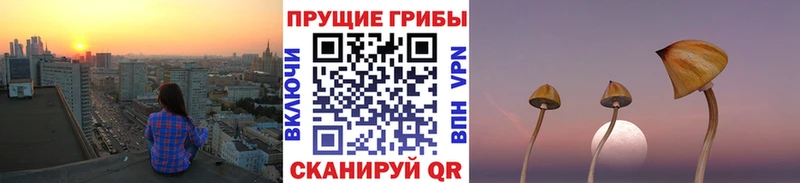Галлюциногенные грибы Psilocybine cubensis Среднеколымск
